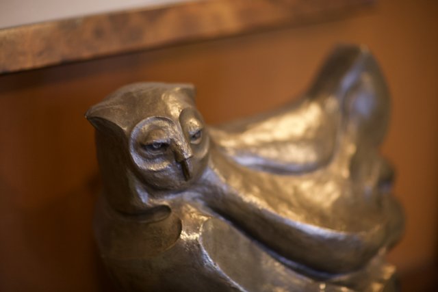 Bronze Owl Statue