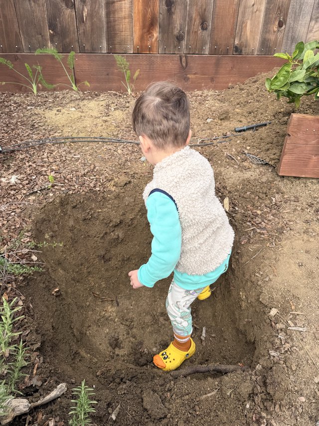 Young Boy Exploring a Freshly Dug Garden Bed