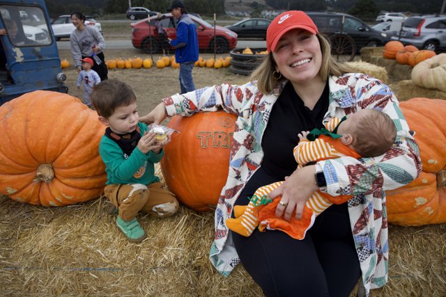 Harvest Moments