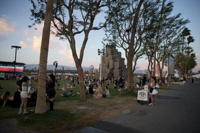 Sundown Serenity at Coachella 2024