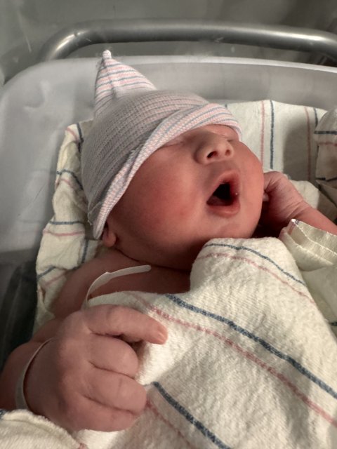 Welcome to the World, Leland