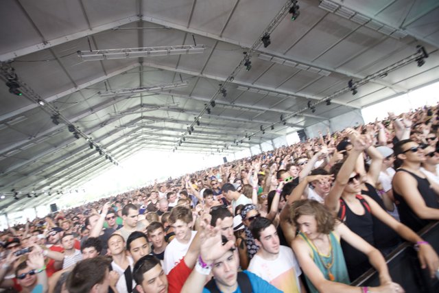 Coachella 2010: A Vibrant Concert Crowd