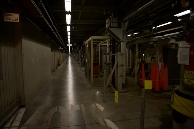 The Corridor of Cones