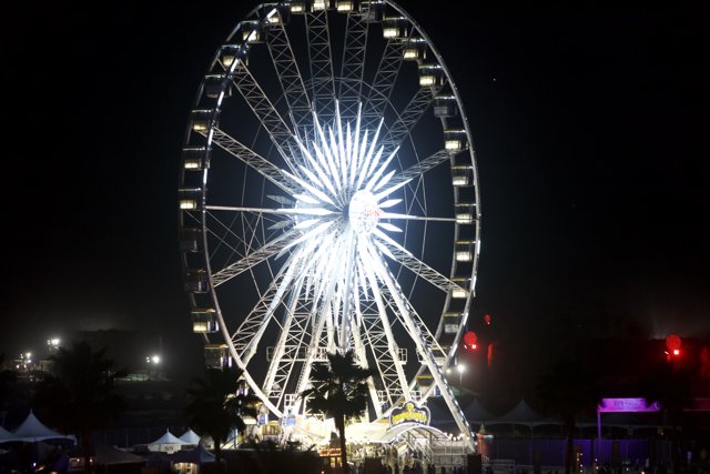 Illuminated Ferris Wheel