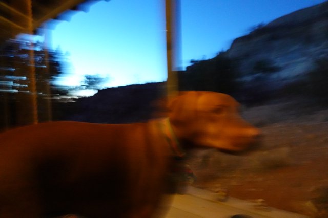 Motion Blur Portrait at Mountain Lodge