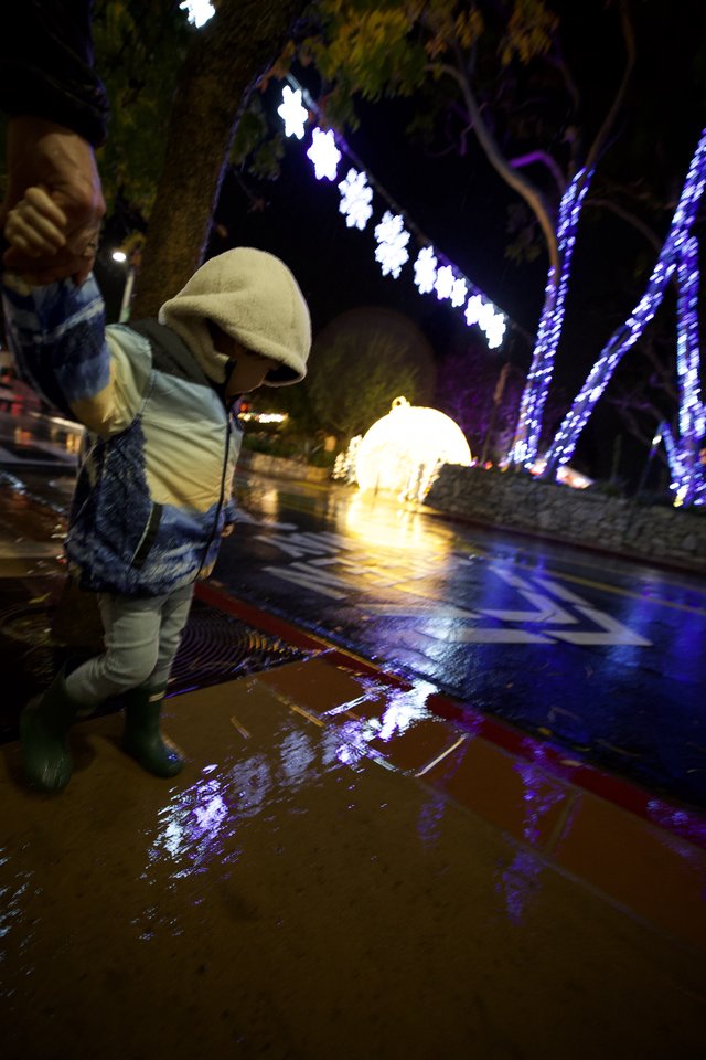 Child Playing in Illuminated Holiday Water Feature at Night