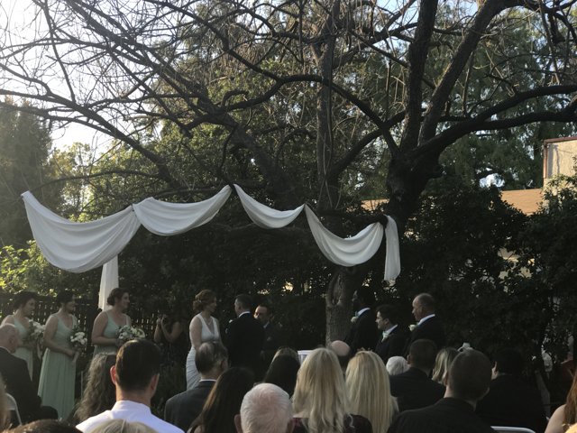 A Romantic Wedding Ceremony Under a Tree