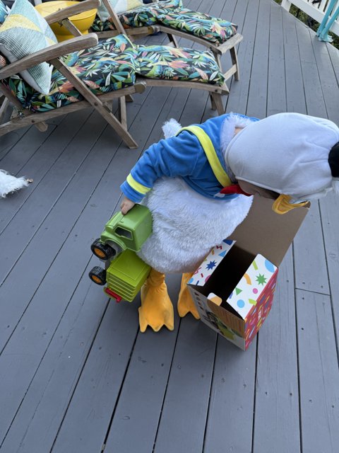 Duckling Delights on the Deck