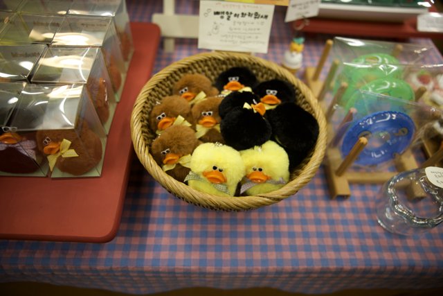 Seoul Memory: Stuffed Animals Encounter