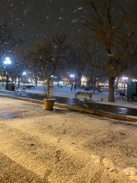 Winter Wonderland in Santa Fe Plaza