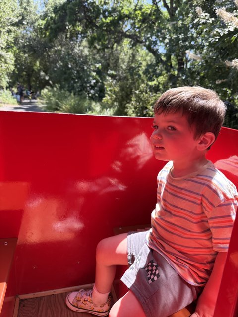 Joyful Ride Under the Summer Sun