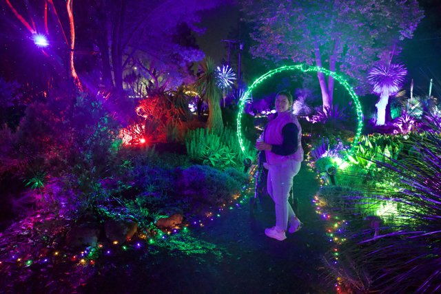 Nighttime Enchantment at Garden of D'Lights