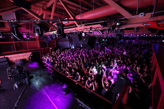 Massive Crowd Erupts at Wobbleland 2026 Festival