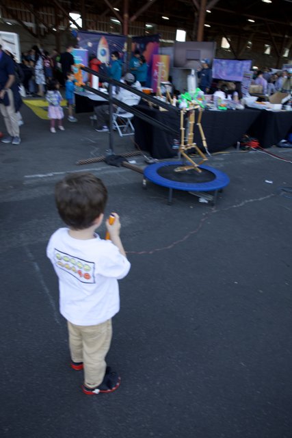 Curious Minds at Play