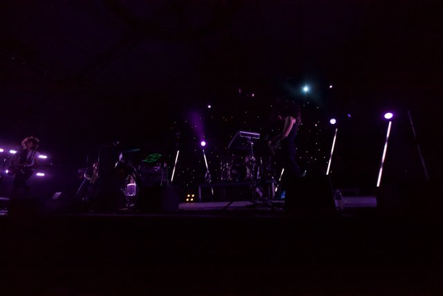 Purple Haze: A Nighttime Concert Experience