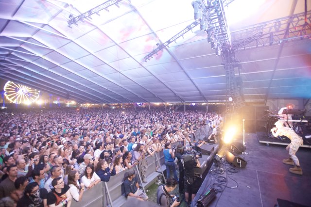 Electrifying Crowd at Coachella Festival