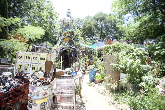 A Jungle Oasis in the Midst of Junk