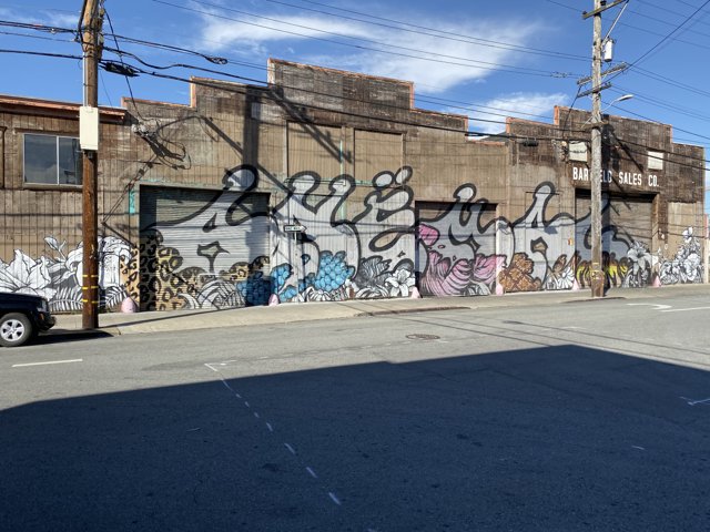The Artistic Charm of a Graffiti Covered Building in San Francisco