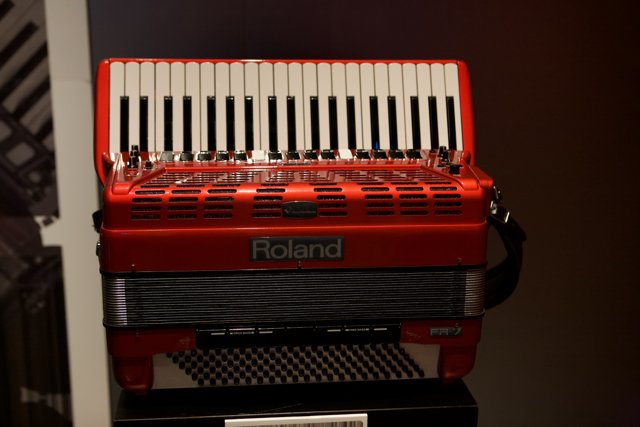 The Red Accordion at the Museum