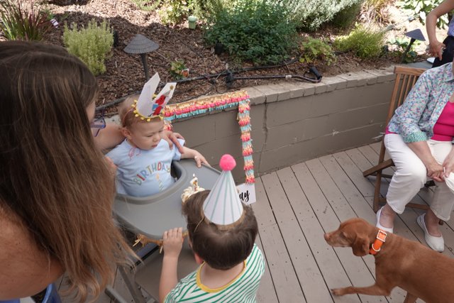 Birthday Delight on the Deck