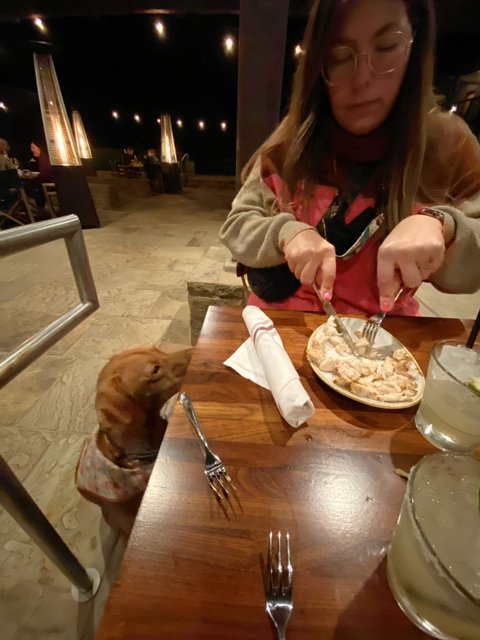 Dinner with My Furry Friend
