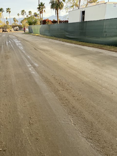 Desert Driveway