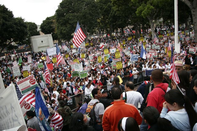 Patriotic Protesters Hold American Flags and Signs