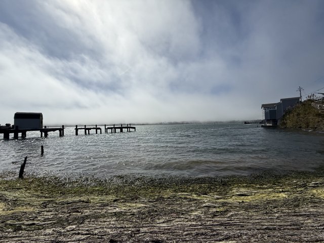 Tranquility at the Edge