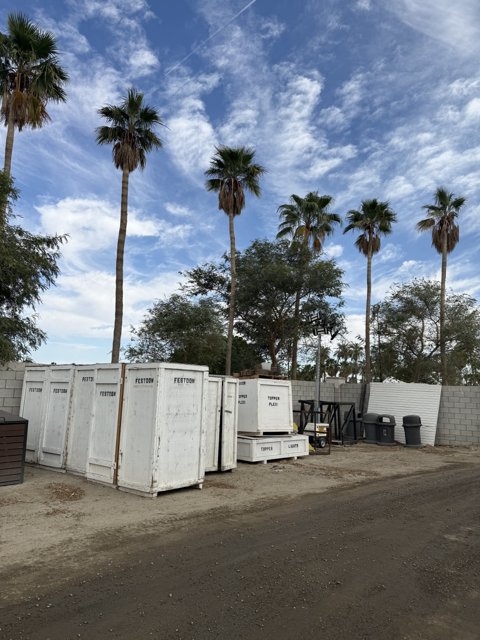 Palms and Preparations