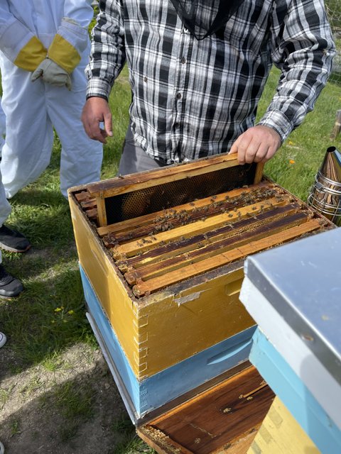 Busy as a Beekeeper