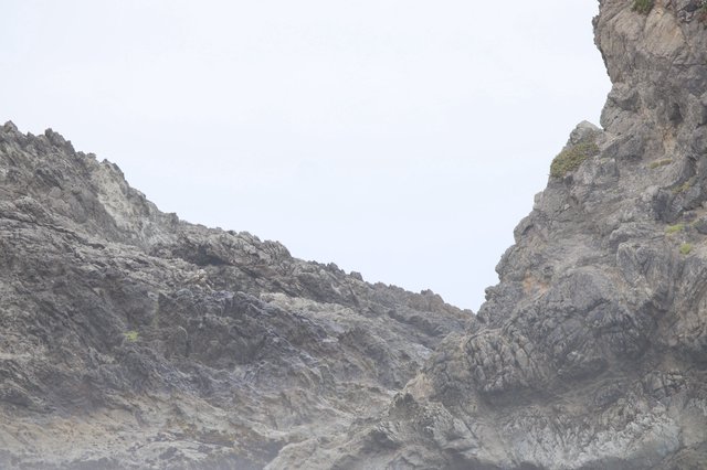 Jagged Coastal Rocks Emerge Through Pacific Fog
