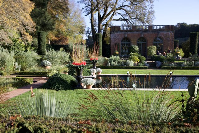 Tranquil Elegance at Thistlewyck