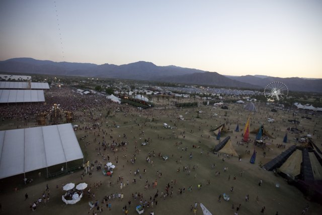 Festival Fever in the Desert