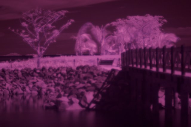 Infrared View of Pier and Trees