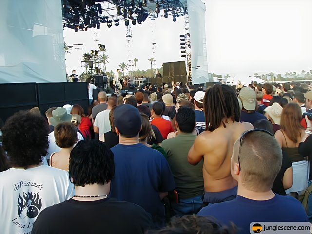 Coachella 2002: A Sea of Fans