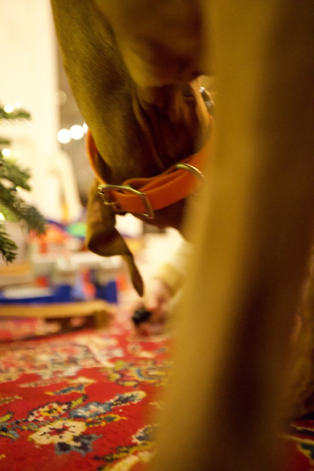 Golden Christmas Ornament Detail on Festive Table