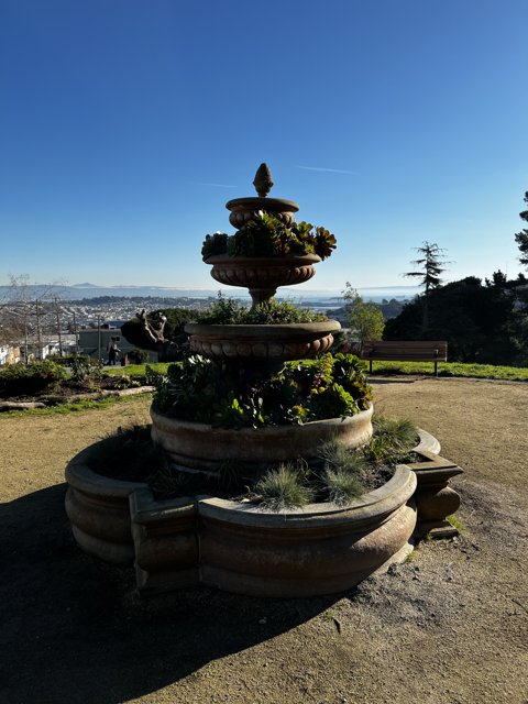 Serene Fountain Garden