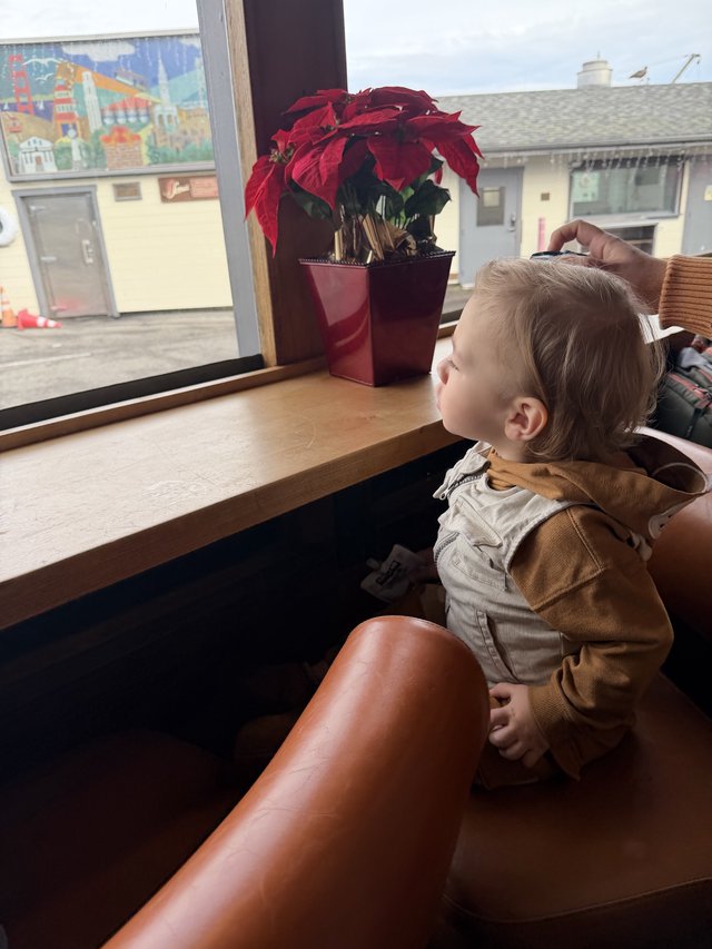 Toddler Watching Winter Day Through Window
