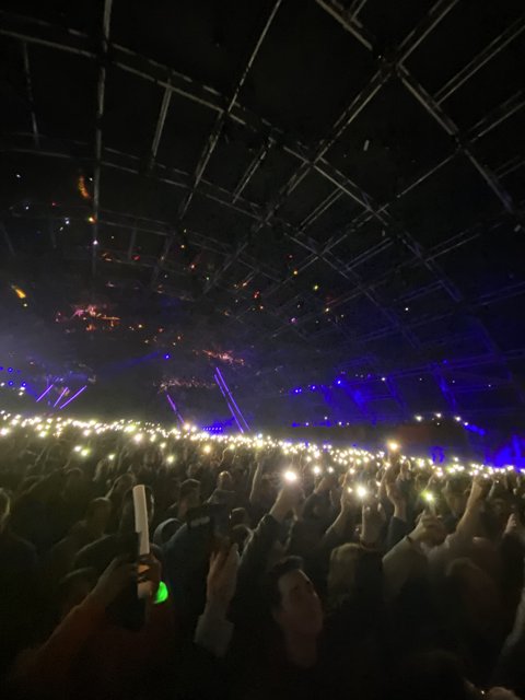 Lights and Lively Concert Crowd