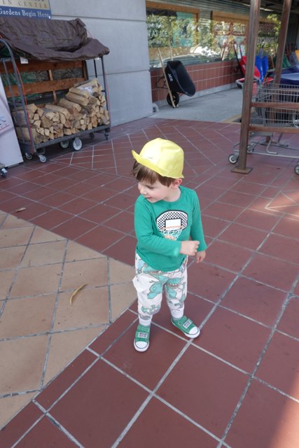 Little Explorer