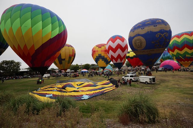 Colorful Hot Air Balloons Fill the Morning Sky