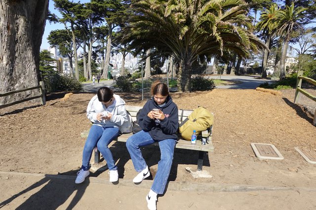 Friends on Phones in Urban Park