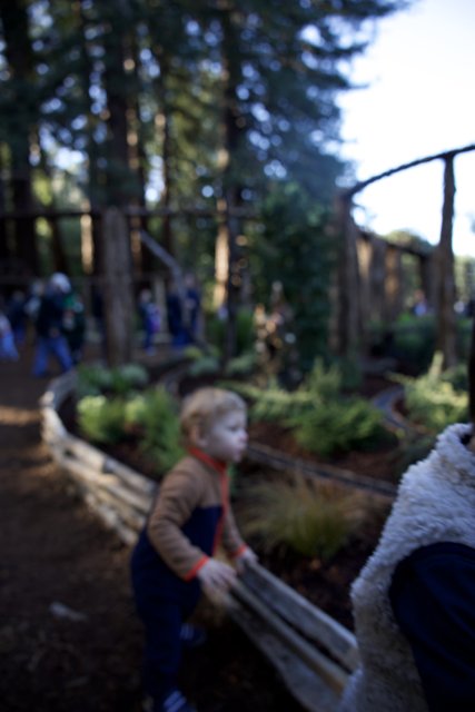 Woodland Wonder at Thistlewyck