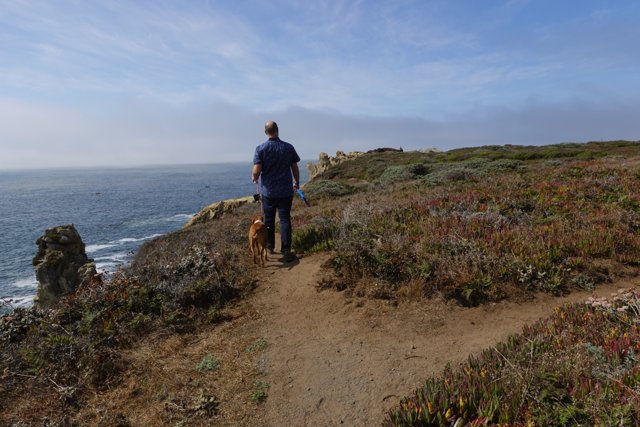 A Man and His Canine Companion Take in the Scenic Trail Along the Coast