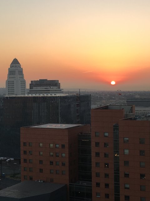 Sunset on the Metropolis