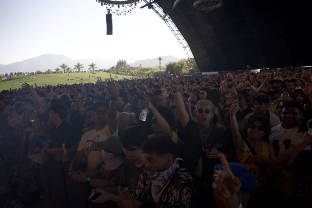 Euphoria at Coachella 2024: Celebrating Music and Unity