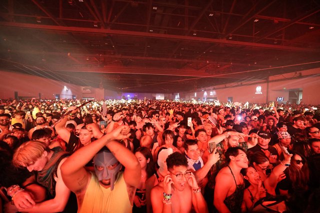 Massive Crowd Surges at Wobbleland 2026 Festival