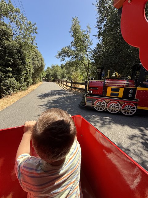 A Joyride Through the Park