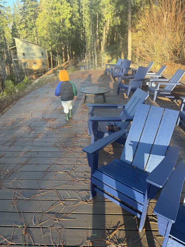 Young Explorer on Sunlit Forest Deck in Winter