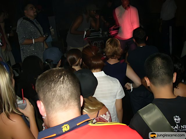 Nightclub Party with a DJ